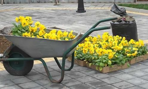 StamsLandscape P.O.Box #266, Acworth Georgia 30101