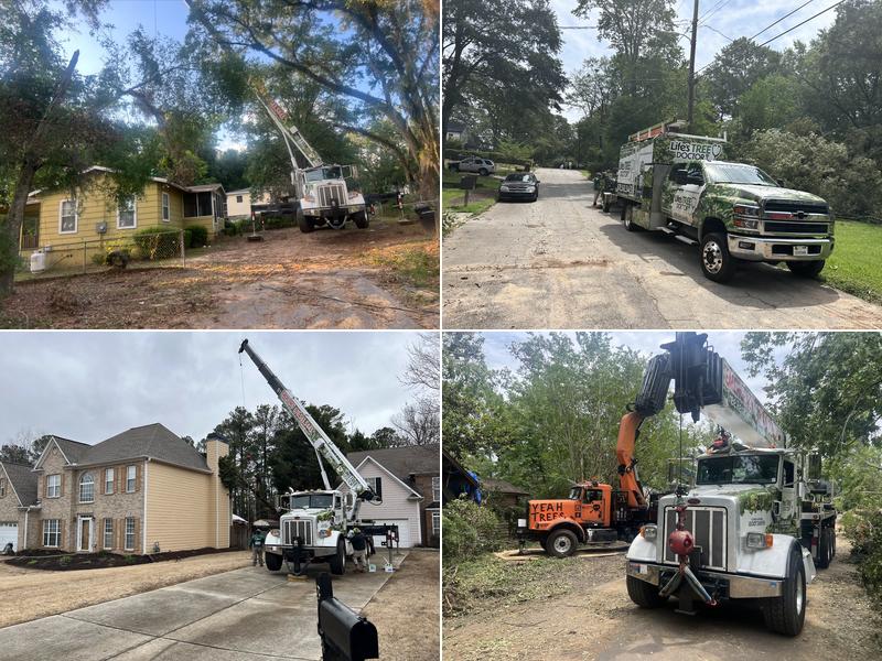 Life's Tree Doctor, LLC