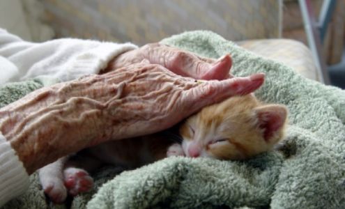 Salem Signature: Home Health & Hospice