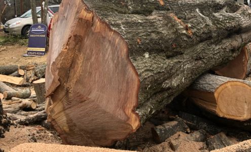 Sergeant Tree Services