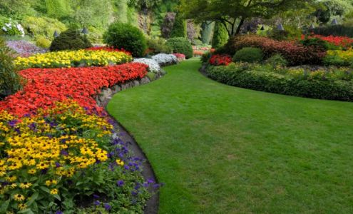 Cut-Rite Lawn Maintenance & Landscaping