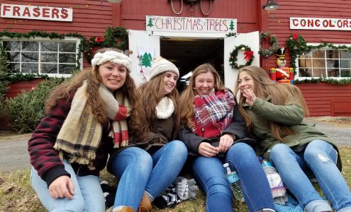 Mistletoe Christmas Tree Farm Stow