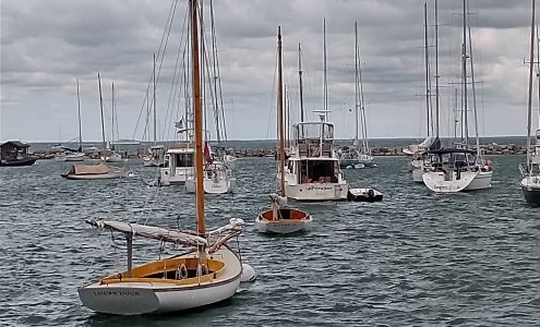 The Steamship Authority Vineyard Haven Terminal Vineyard Haven