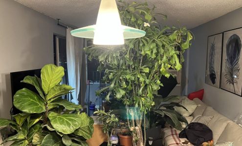 Seal Masters of Hawaii