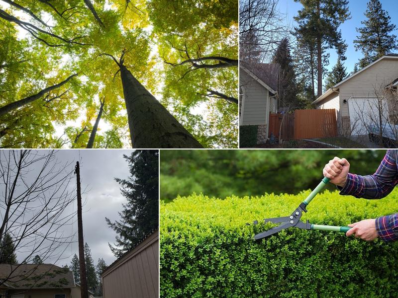 Jacobson Tree Service Inc