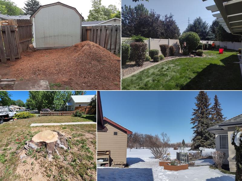 A&A Stump Removal & Shrub Care