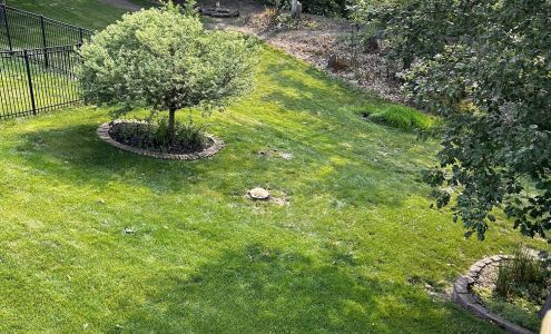 Ballard Tree Service