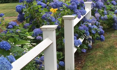 Ideal Weight Loss and Wellness of Bridgewater