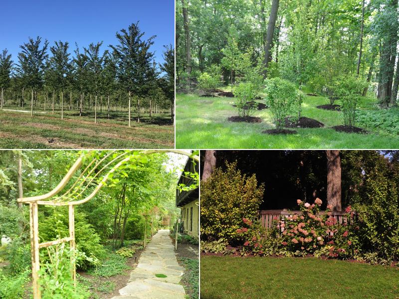 Mike Greco Landscaping Inc