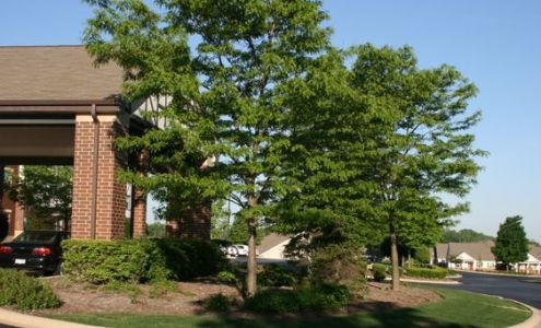 Y&D Maintenance, Inc