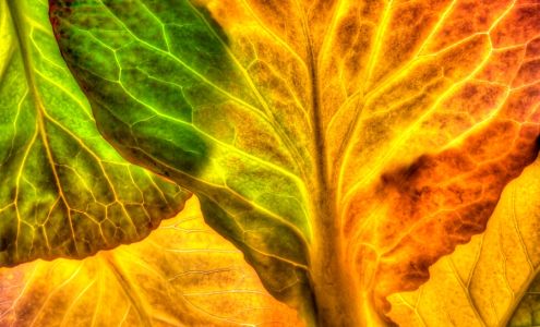 Hutchings & Associates CPAs