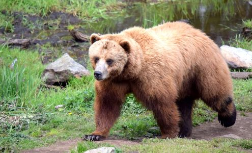 Baranof Tours llc Sitka