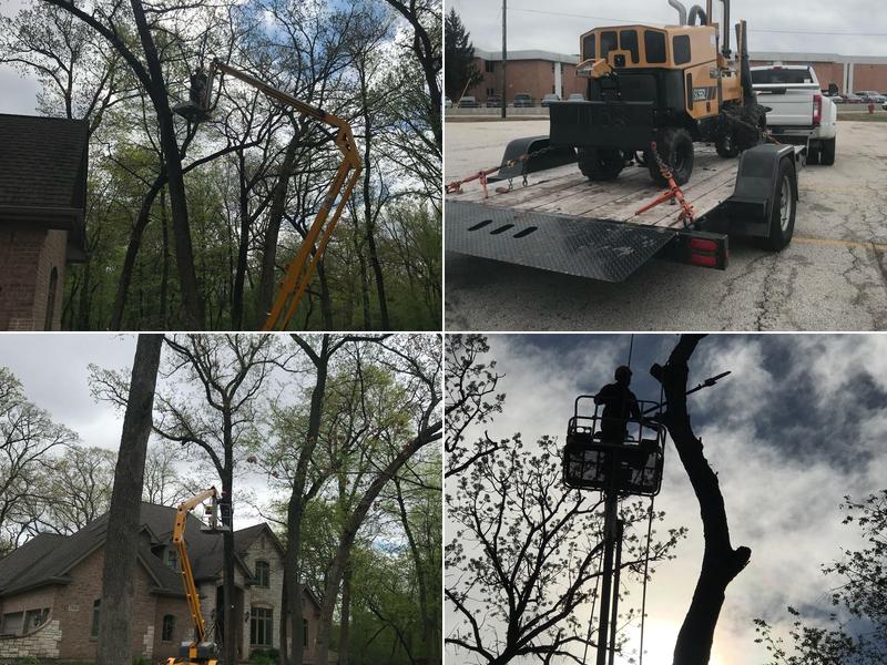 Campos Tree Service