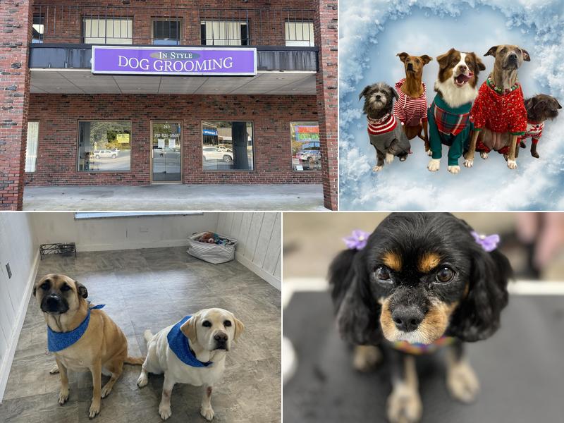 In Style Dog Grooming