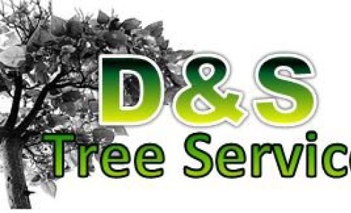 D & S Tree & Shrub Services & Stump 10619 Mitchell St, West Frankfort Illinois 62896