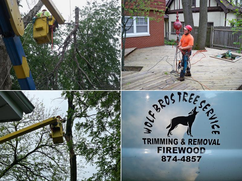Wolf Bros.tree Service