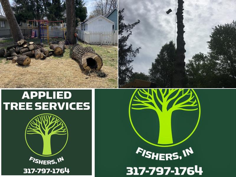 Applied Tree Services Llc