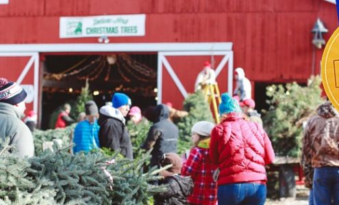 Dull's Tree Farm and Pumpkin Harvest Thorntown