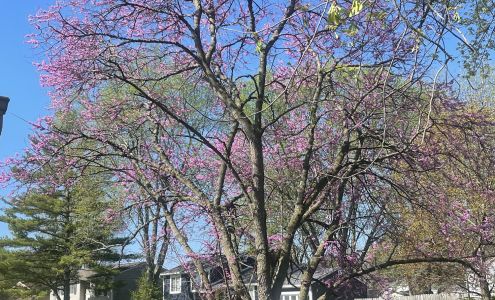 REALTY WORLD-Harbert Company, Inc.