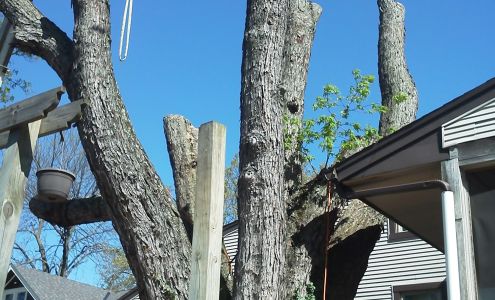 Fowler Forestry Tree Service