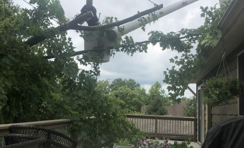 Allen's Tree Services 7487 East Bend Road, Burlington Kentucky 41005