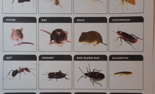 USA organic pest control services