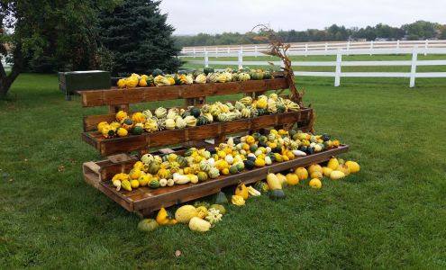 Petty Vinyl Co. Inc.