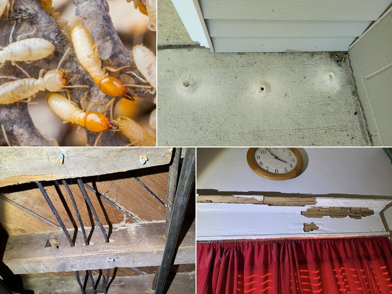 RMPKA Termite Professionals