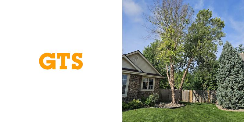 The Grind Tree Service