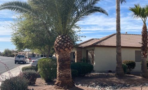 Tree Service Valle Del Sol Llc