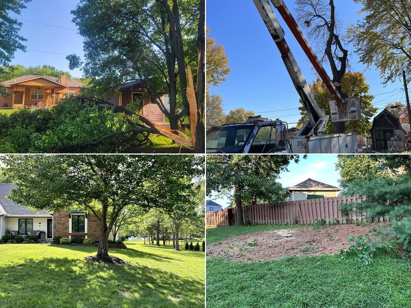 MFG Tree Service LLC