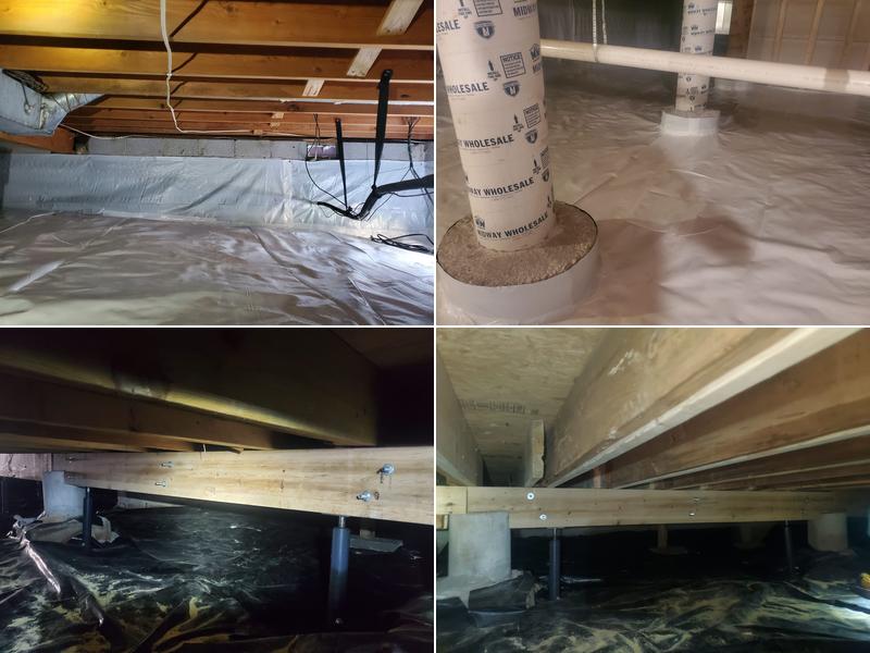 Joplin Mold Inspection and Remediation