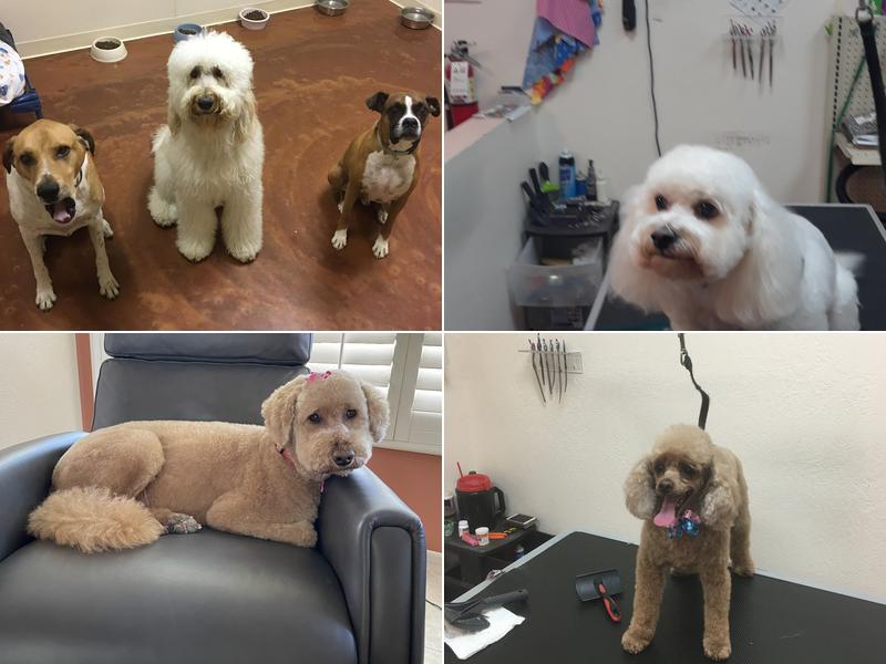 Sunny Valley Grooming And Boarding LLC