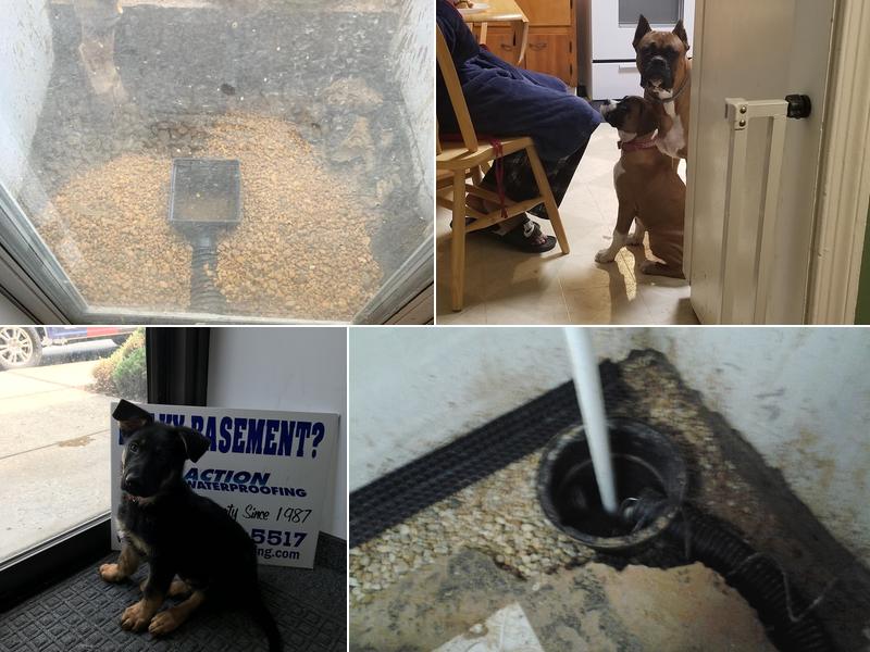 AA Action Waterproofing