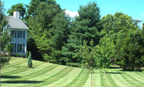 MJM Landscaping, Inc