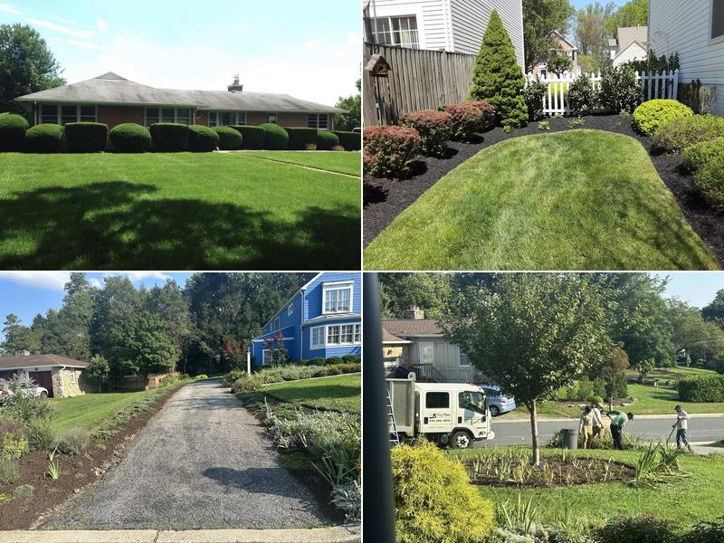 Turf Doc Landscaping