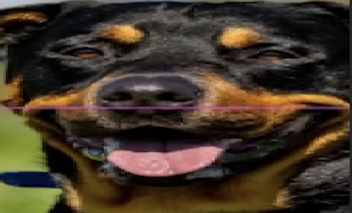 Dr. Kristi L. Statler, MD 803 AR-18, Lake City Arkansas 72437