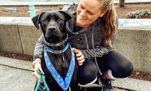 Summit Insurance Group