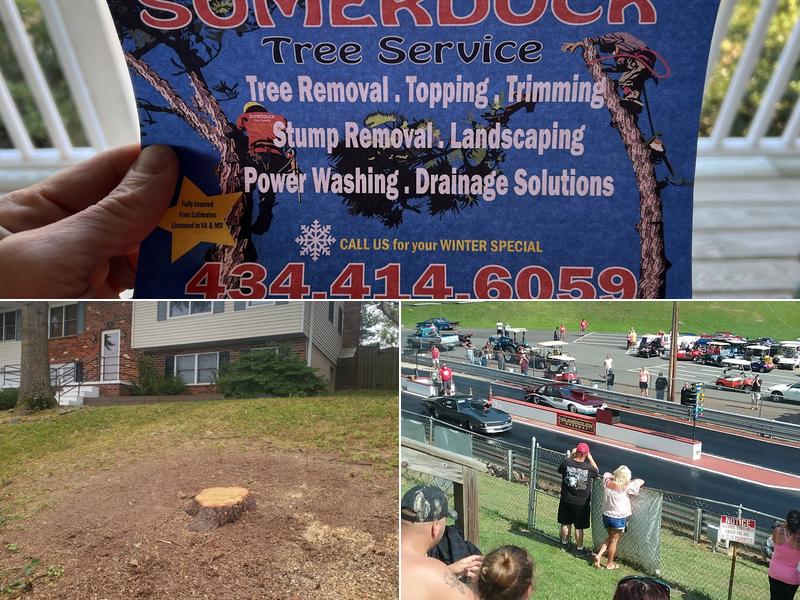 Sumerduck Tree Experts