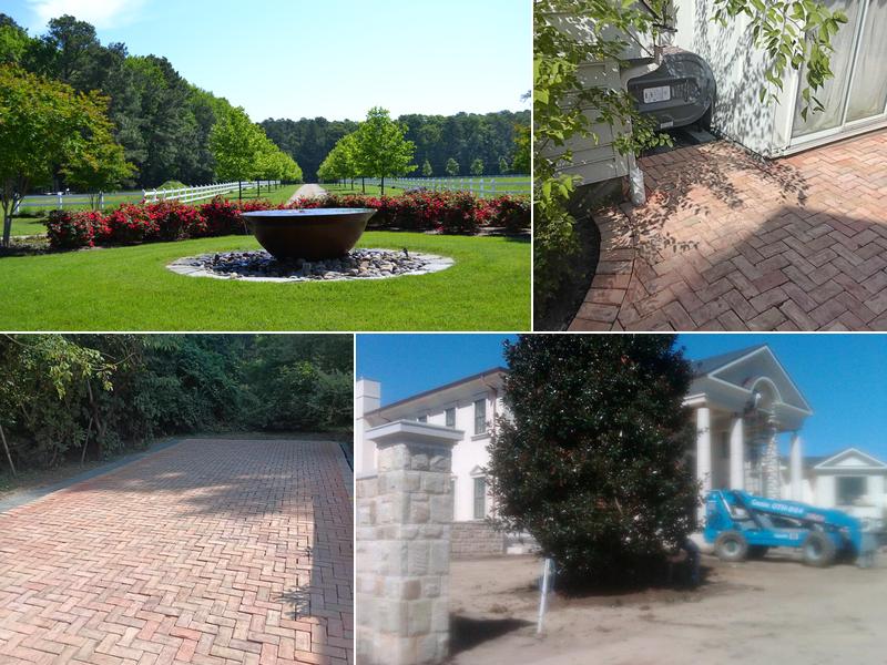Dobson Tree & Landscape Inc