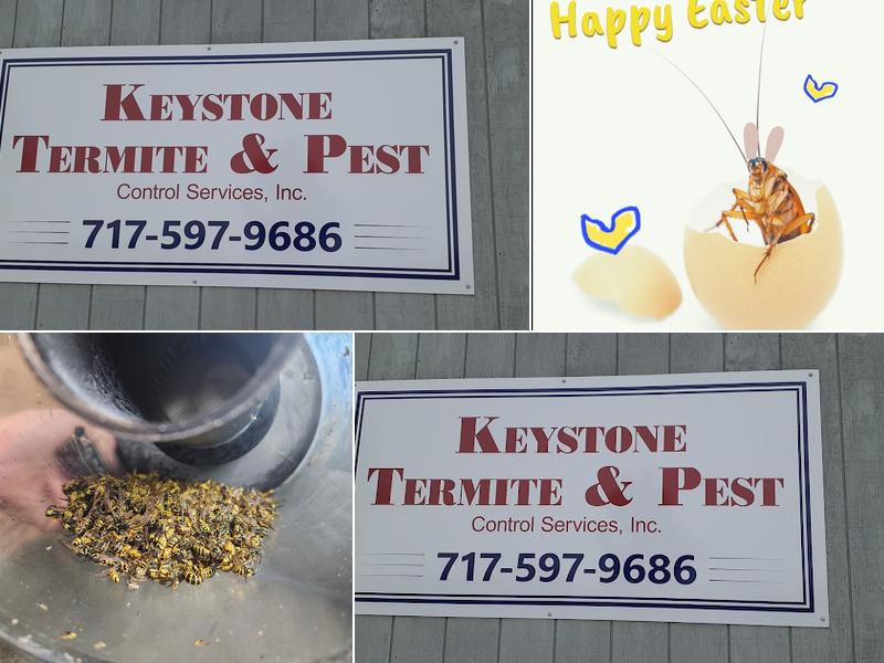 Keystone Termite and Pest Control