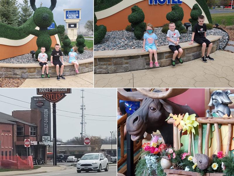 RAJ Construction Services