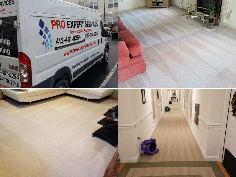 PRO EXPERT SERVICES INC