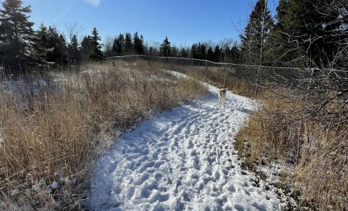Chippewa County Animal Control and dog park Sault Ste. Marie