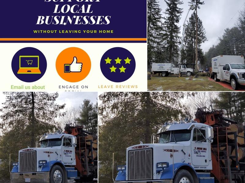 Brush Hill Tree Service