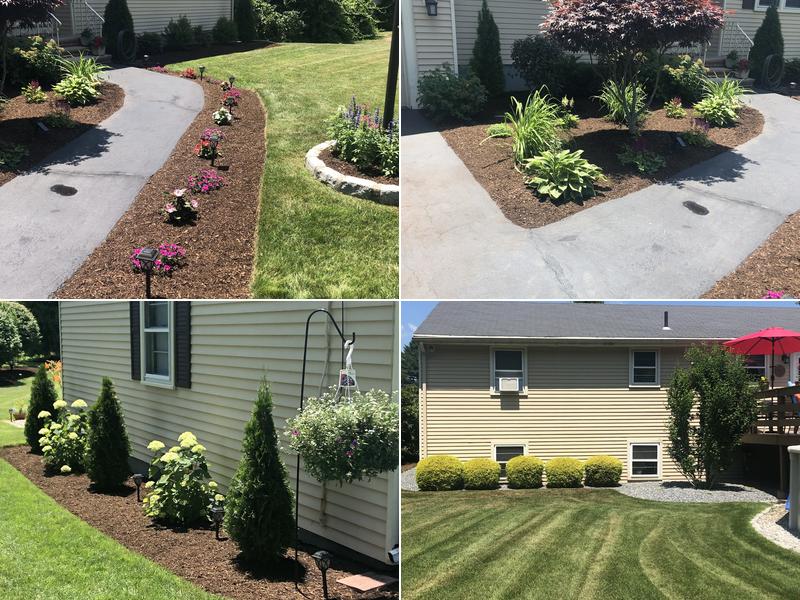 Precision Landscaping & Design