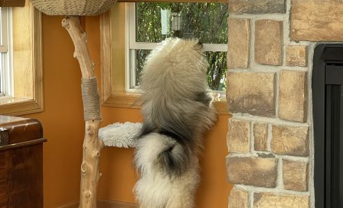 Prestige WallWorX 8351 River Birch Ct, Victoria Minnesota 55386