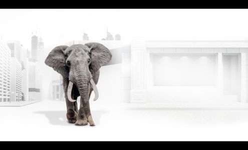 Billyard Insurance Group - Red Deer