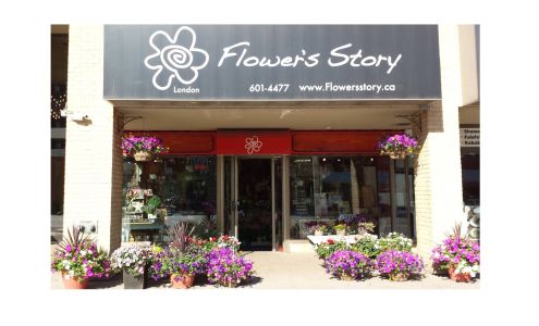 Flower's Story | Flowers London Ontario