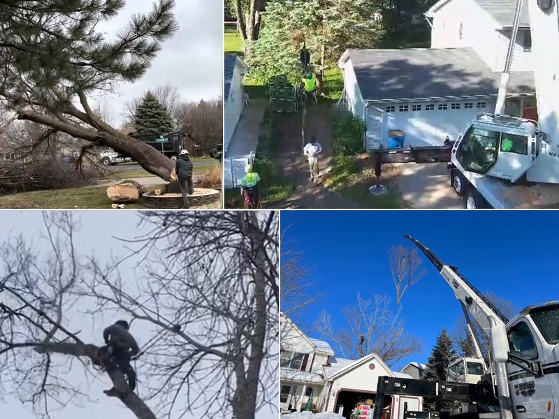 Miller Tree Service